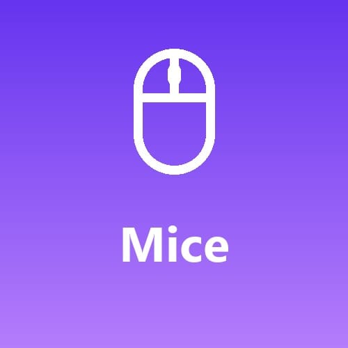 Mice
